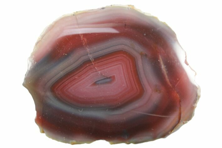 Colorful Polished Banded Agate - Zimbabwe #355897